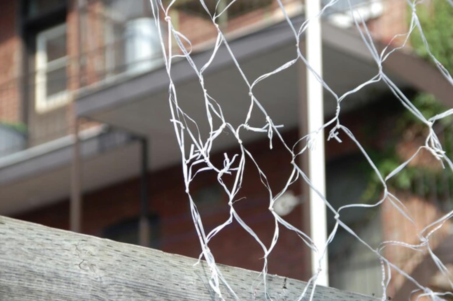 รั้วโปร่งที่ถูกงัด